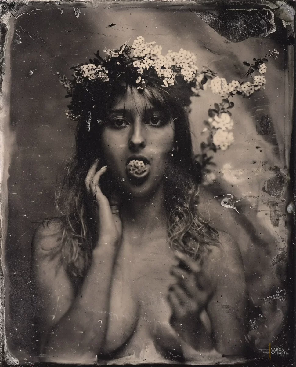 ferrotípia 4x5" alumínium lemezen | Nagykanizsa (HUN) 2021 | © Copyright 2021 Varga Szilárd - www.vargaszilard.hu | art.no.: 211951-FT4501-100